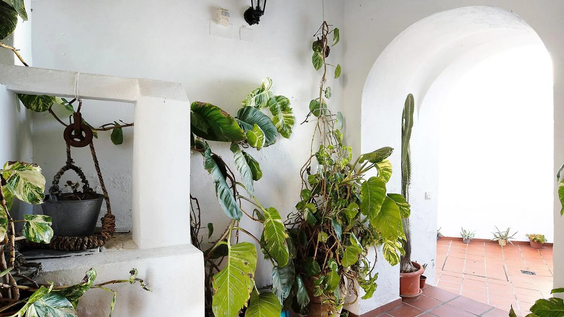 Silla Vieja Uno Villa Vejer de la Frontera Spain